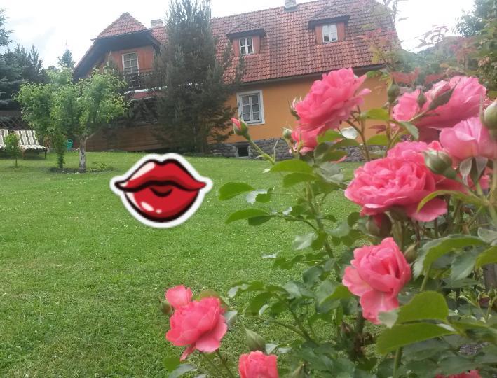 Bella Vita Cesky Krumlov Bagian luar foto